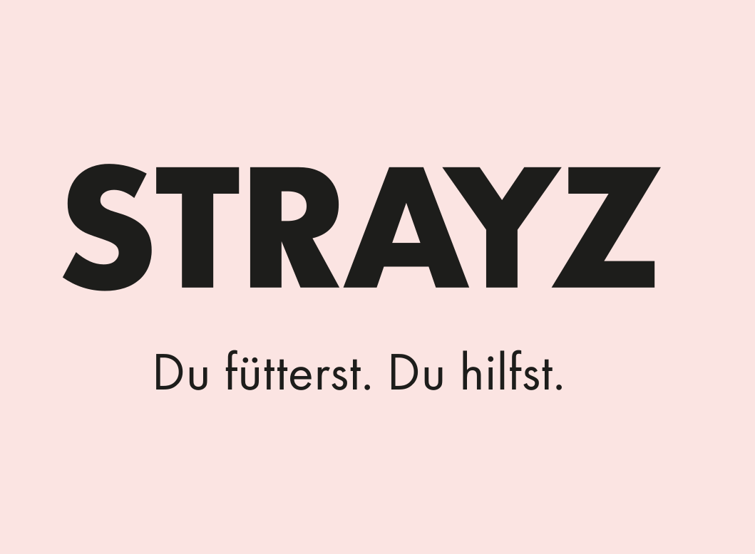Company logo for Strayz